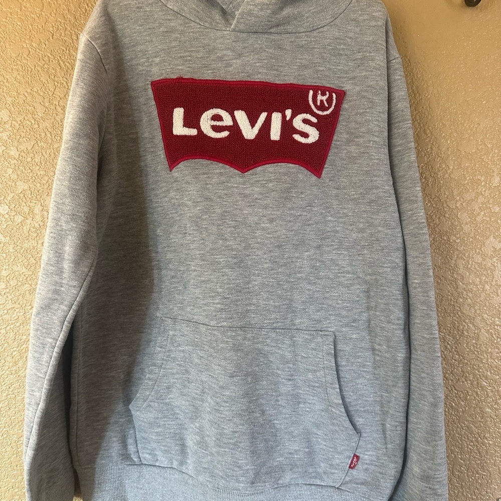 Boys Levi's Gray Hoodie